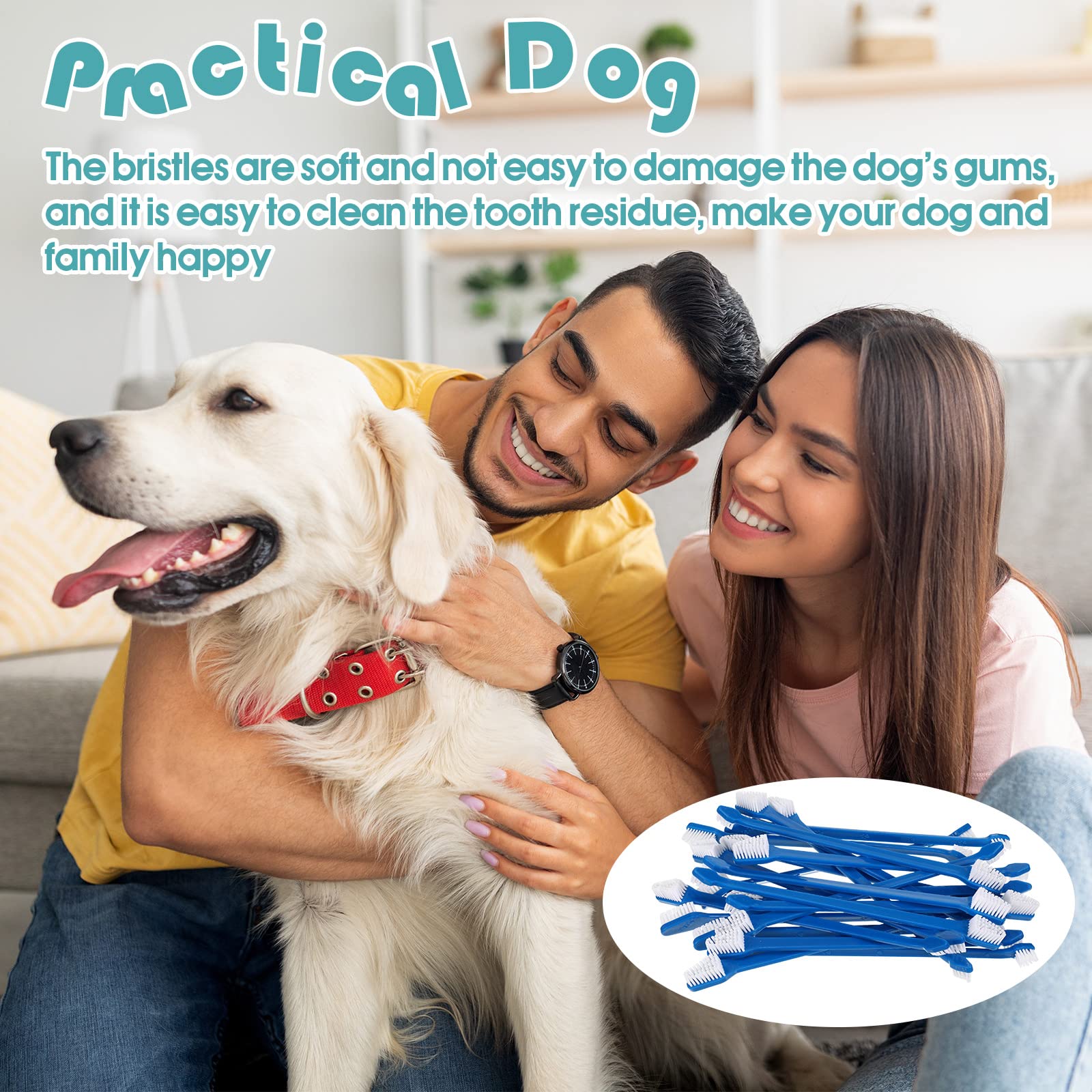 Gerrii pet dental tool suitable for dogs and cats