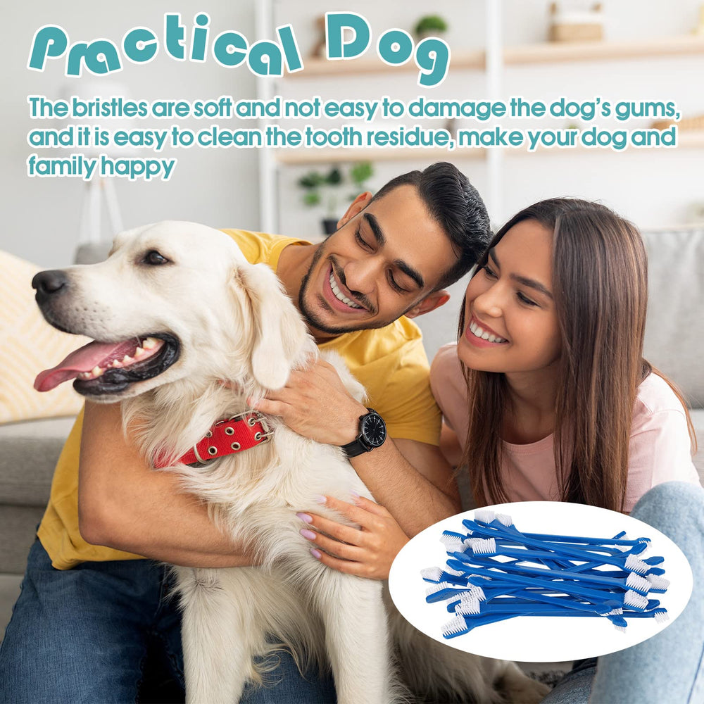 Gerrii pet dental tool suitable for dogs and cats