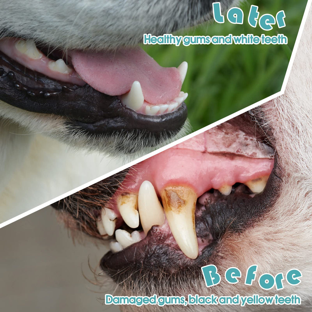Gerrii small-head dog toothbrush for tight spots between teeth