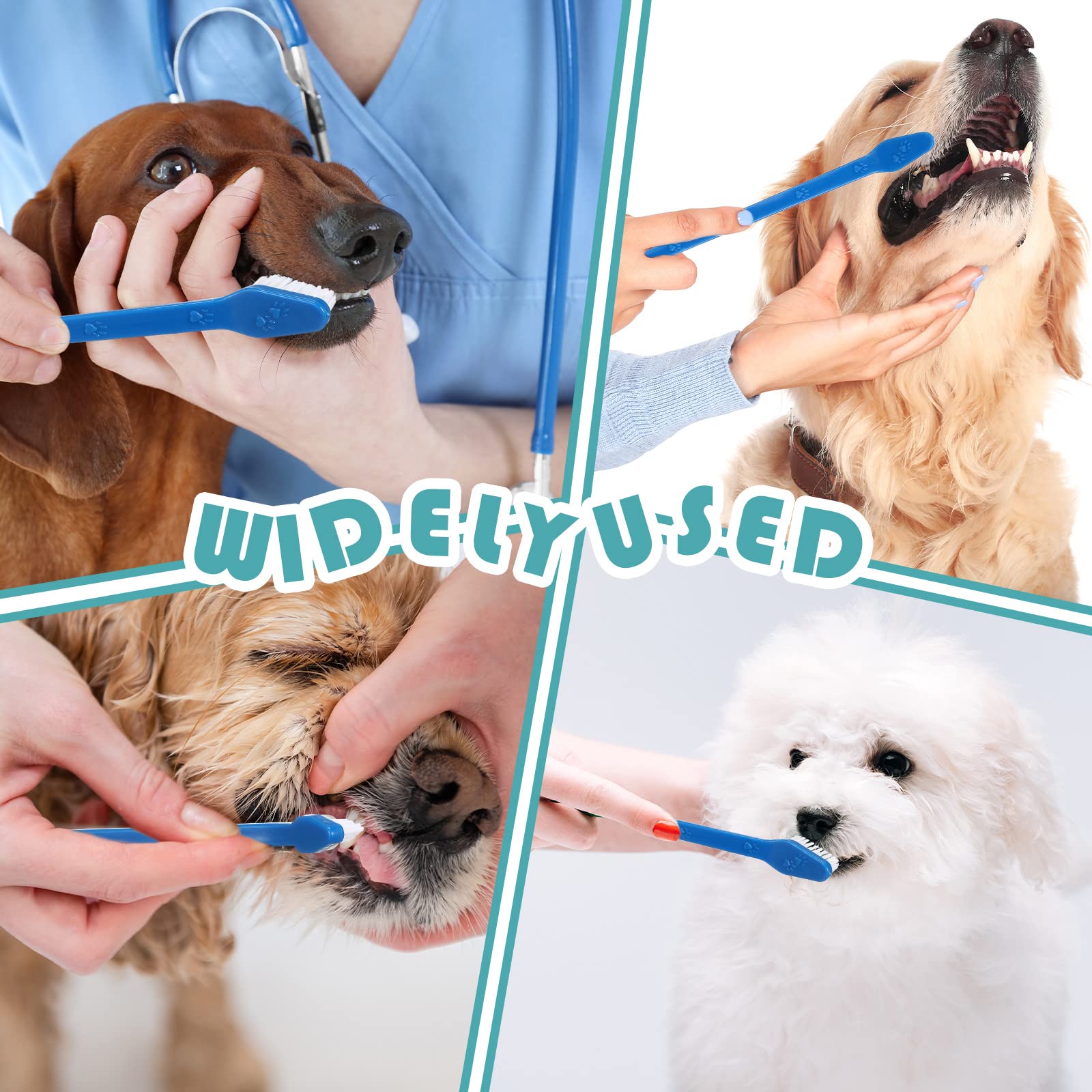 Gerrii soft nylon bristles protect enamel during brushing