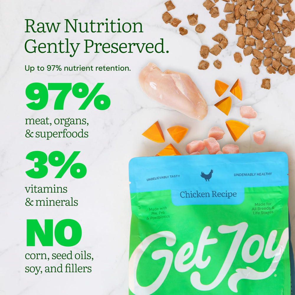Get Joy dog eating freeze-dried chicken—promotes enjoyable meals.