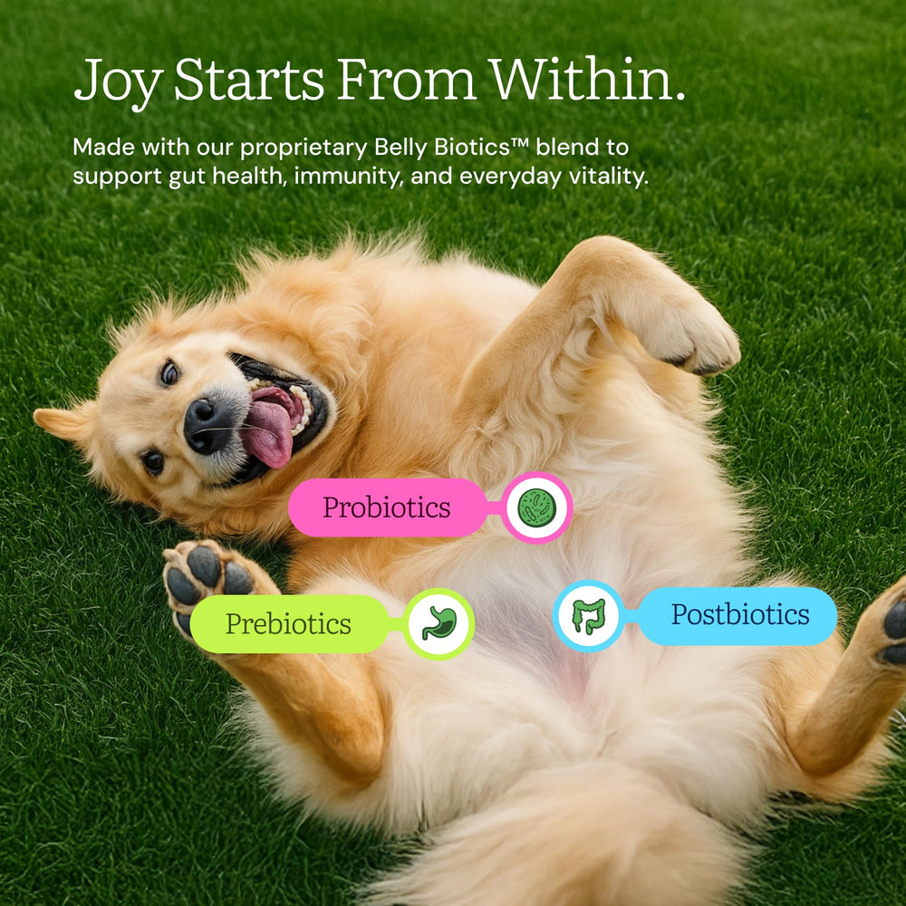 Get Joy ingredients beef organ meats closeup highlighting nutrient-rich proportions for balanced nutrition.