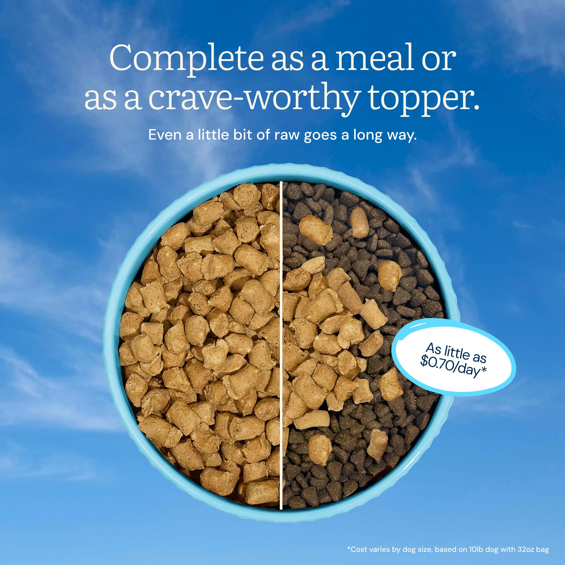 Get Joy dog feeding bowl with toppers—versatile nutrition boost.