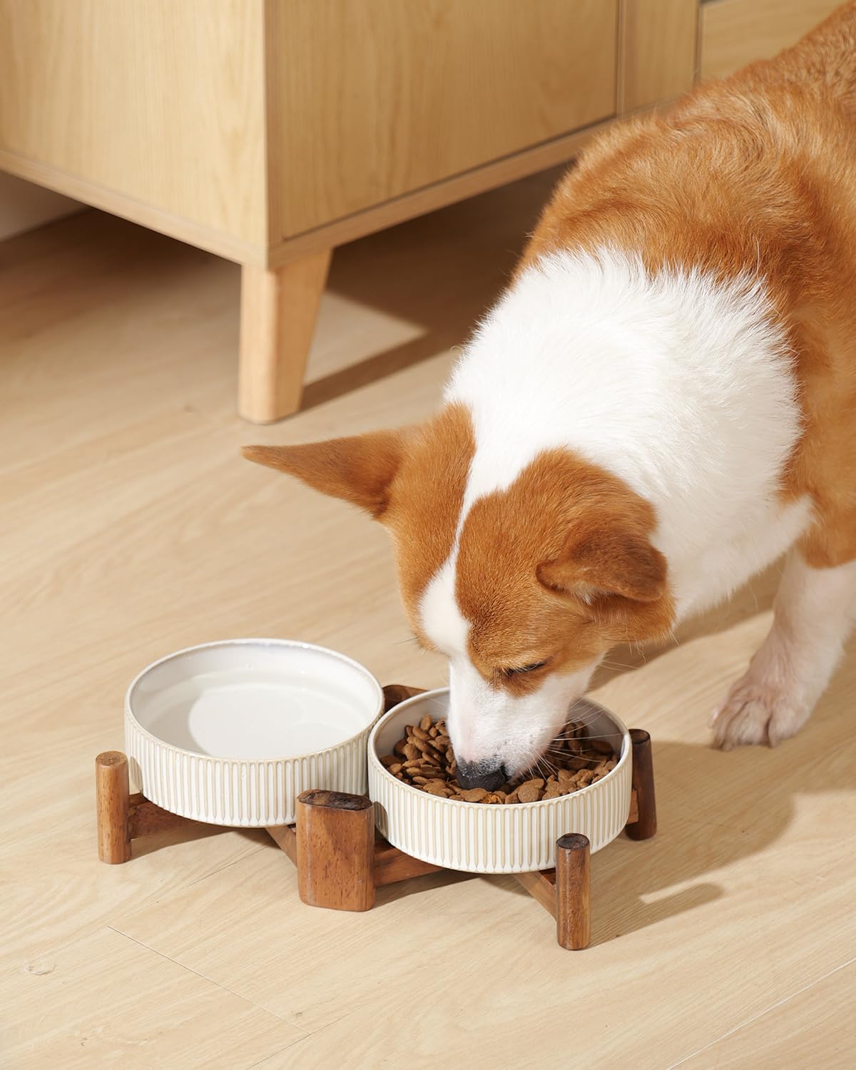 Getstar stylish, modern feeding area that blends with home decor while keeping meals neat.