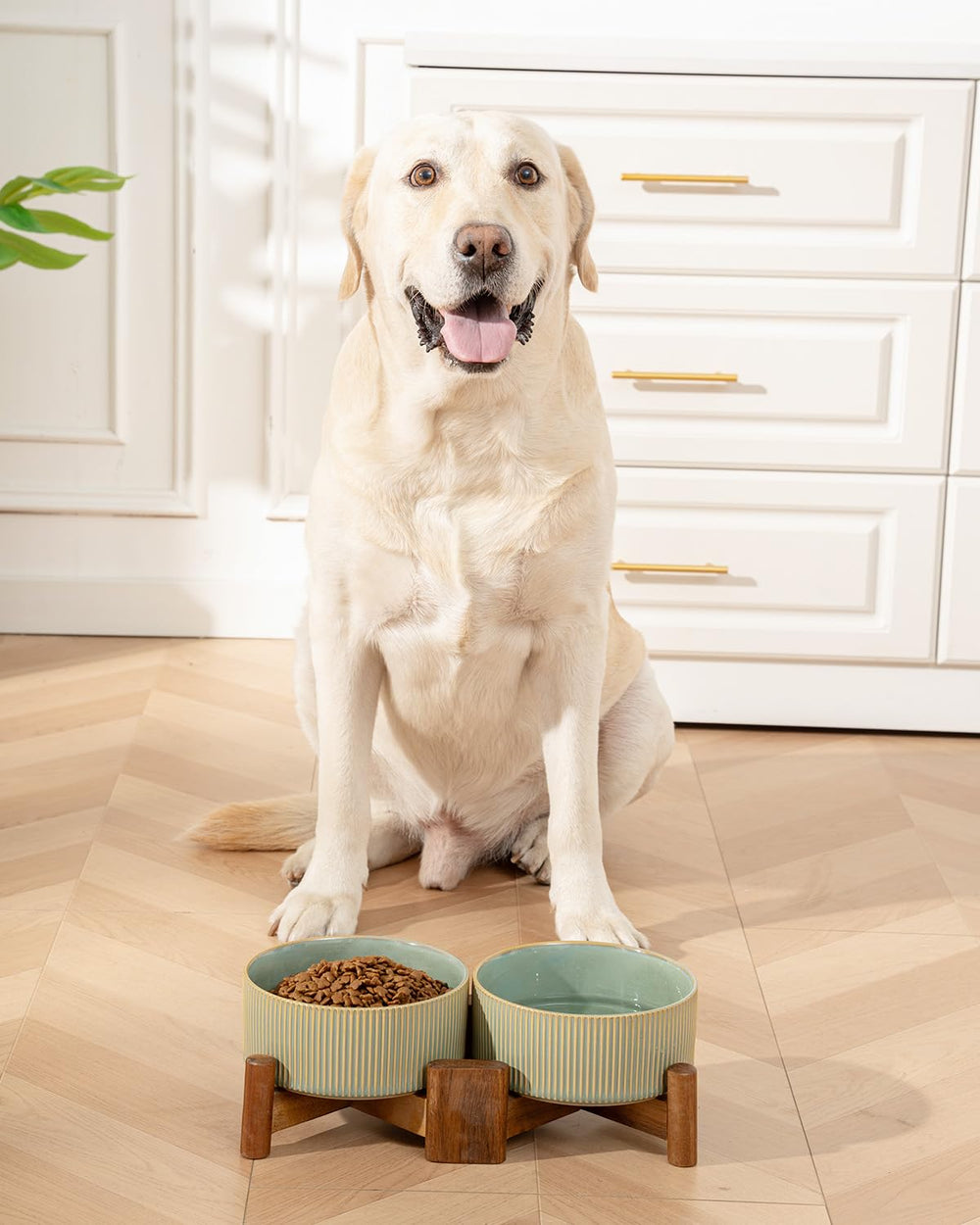 Getstar durable ceramic bowls and wood stand, easy to clean.
