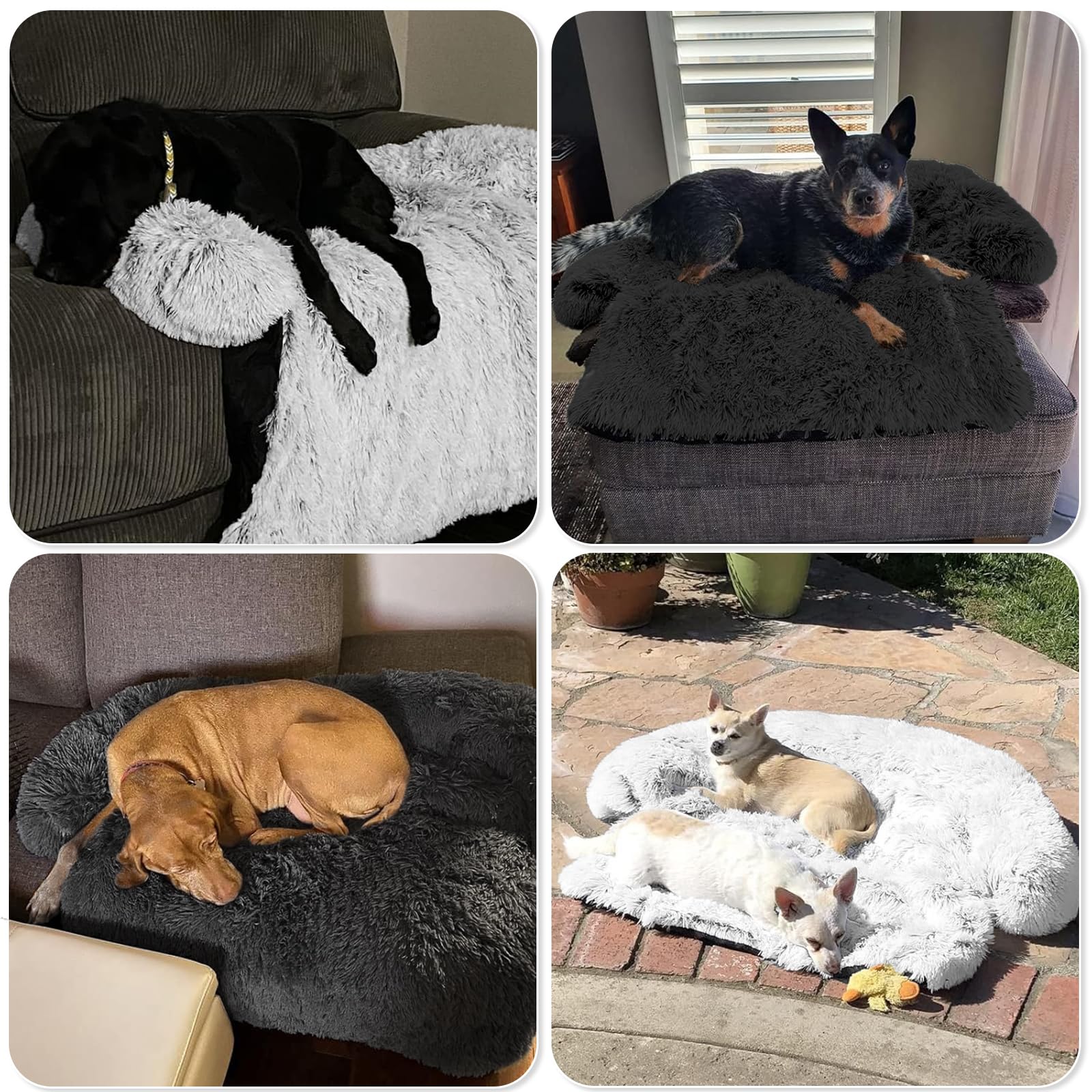 GGIB large 45x37 bed suitable for big dogs and cats