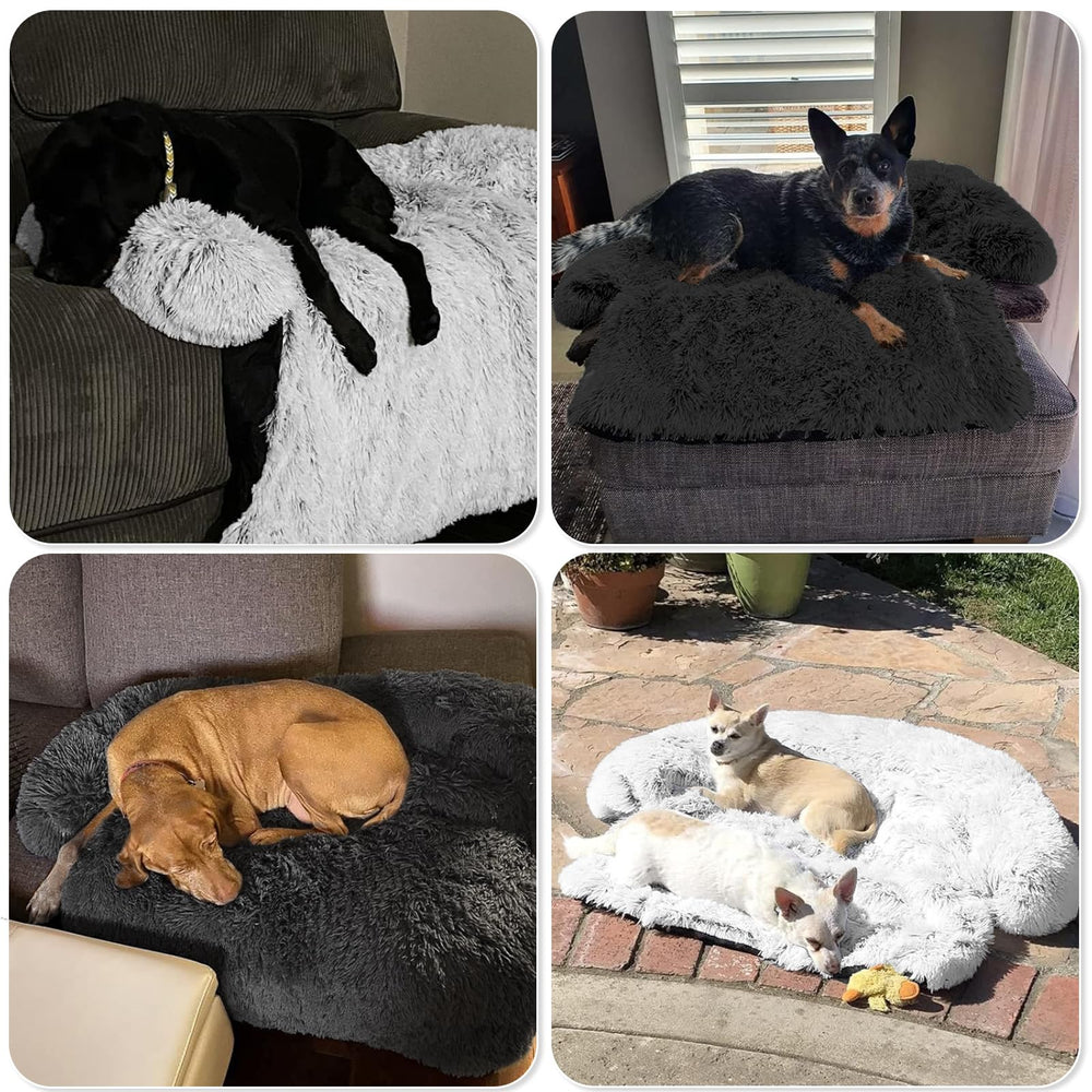 GGIB large 45x37 bed suitable for big dogs and cats