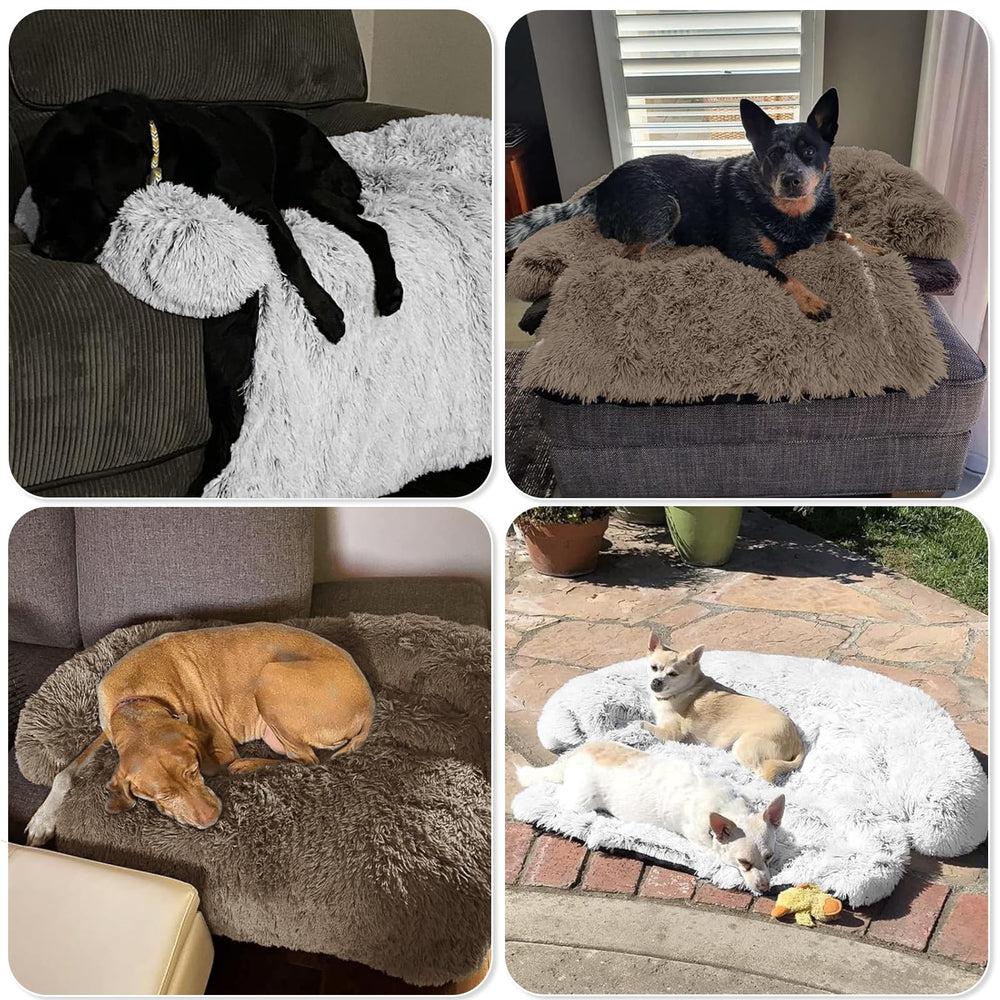 GGIB calming dog bed versatile use in car, sofa, or crate