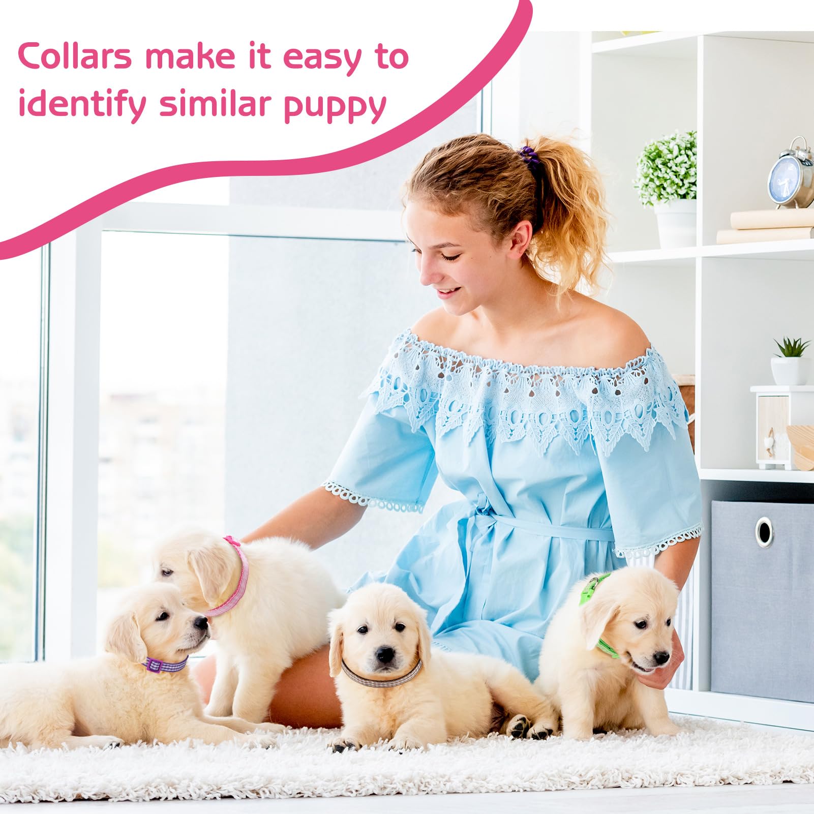 GGSTDDUP lattice design collar adds charm and comfort