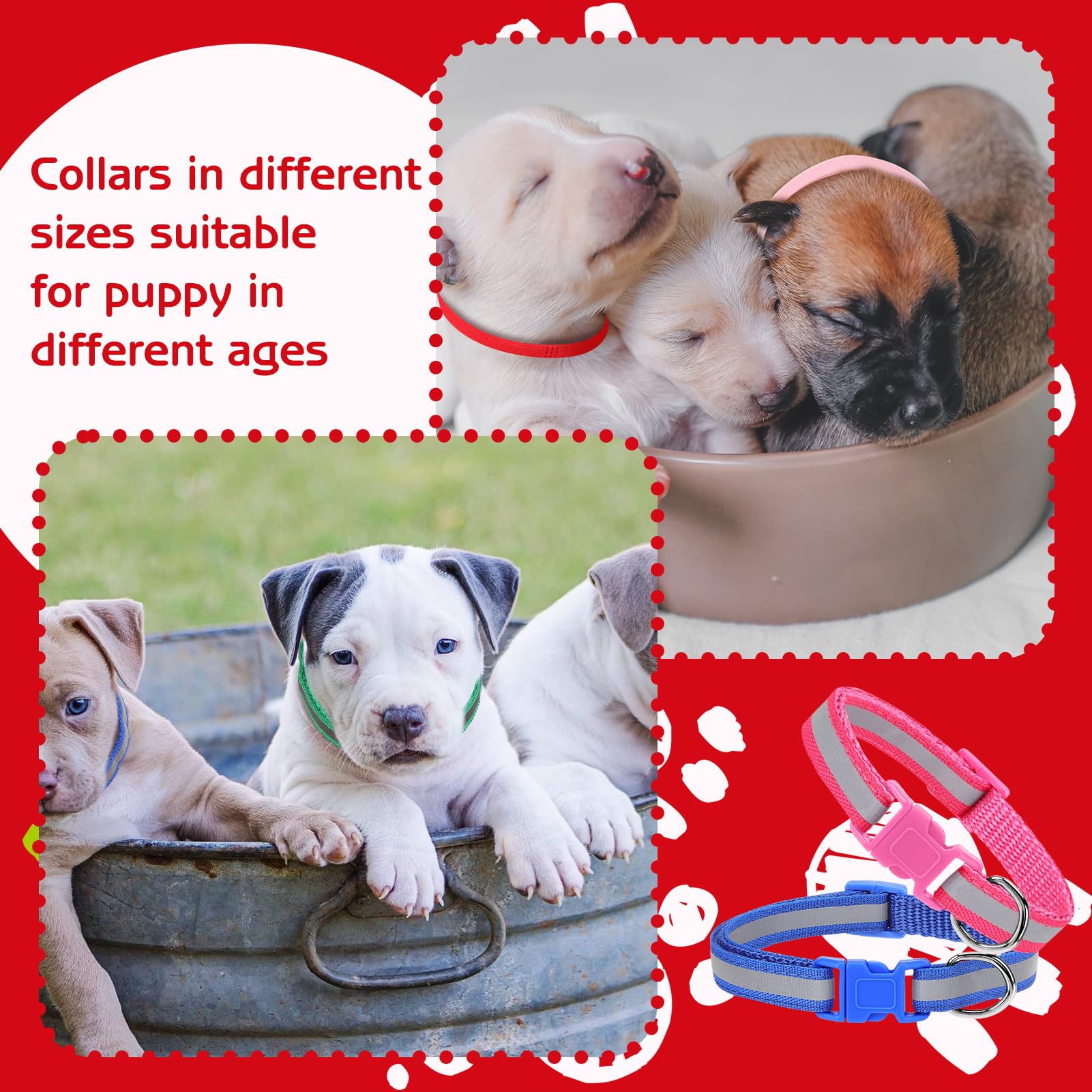 GGSTDDUP quick-release buckle collar simplifies on/off for busy owners