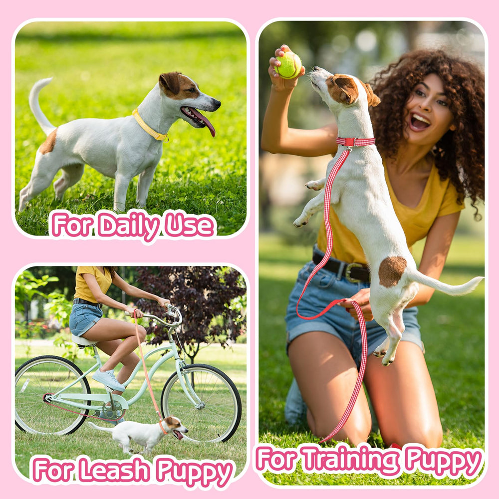 GGSTDDUP walking and training kit supports small to medium dogs