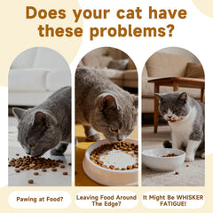Giciubui elevated cat bowl showing 5.1-inch height for comfortable feeding.