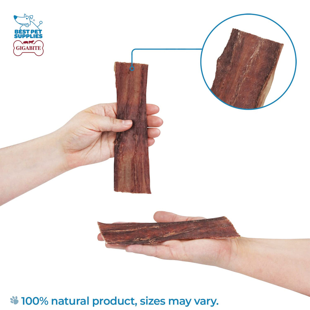 GigaBite dental-health chew helps support teeth and gums with natural texture.