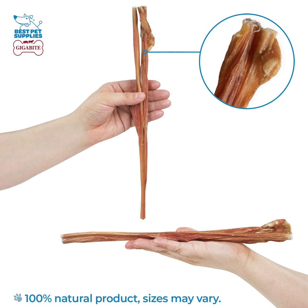 GigaBite high-protein beef esophagus dog chew, protein-rich bite.