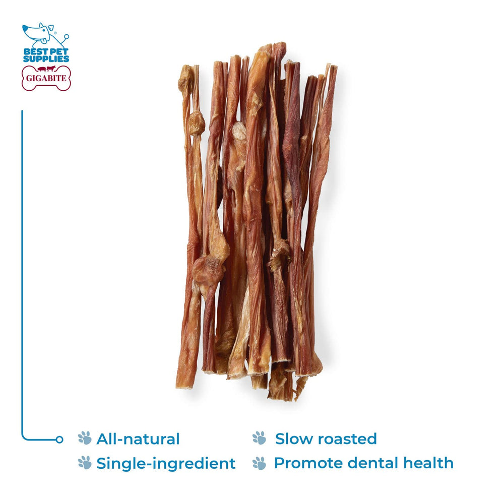GigaBite rawhide-free dog chew, alternative option with potentially easier digestion for dogs.