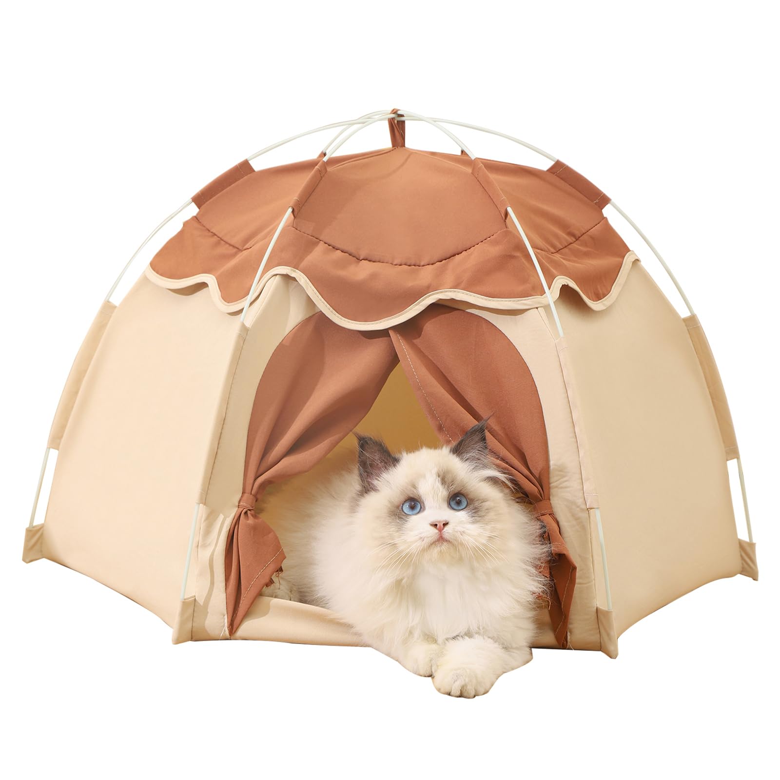 Gigreinc cat tent with flower canopy provides a cozy indoor retreat.