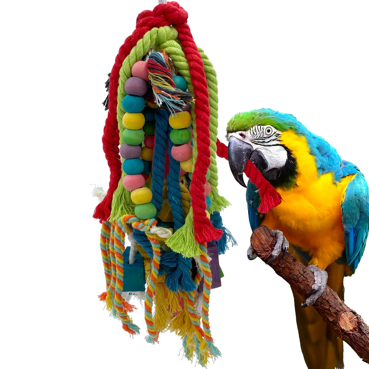 GILYGI parrot toy with wooden blocks and cotton rope for enrichment