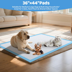 Gimars puppy pad with reinforced edges for reliable containment in busy multi-dog homes.