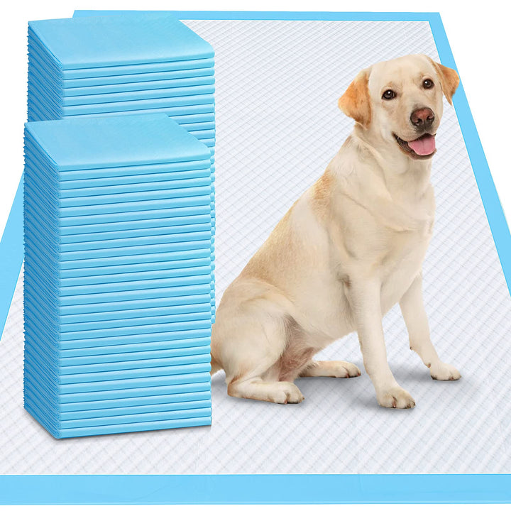 Gimars 4XL dog pad 36x36 inch for large pets, extra coverage and protection.