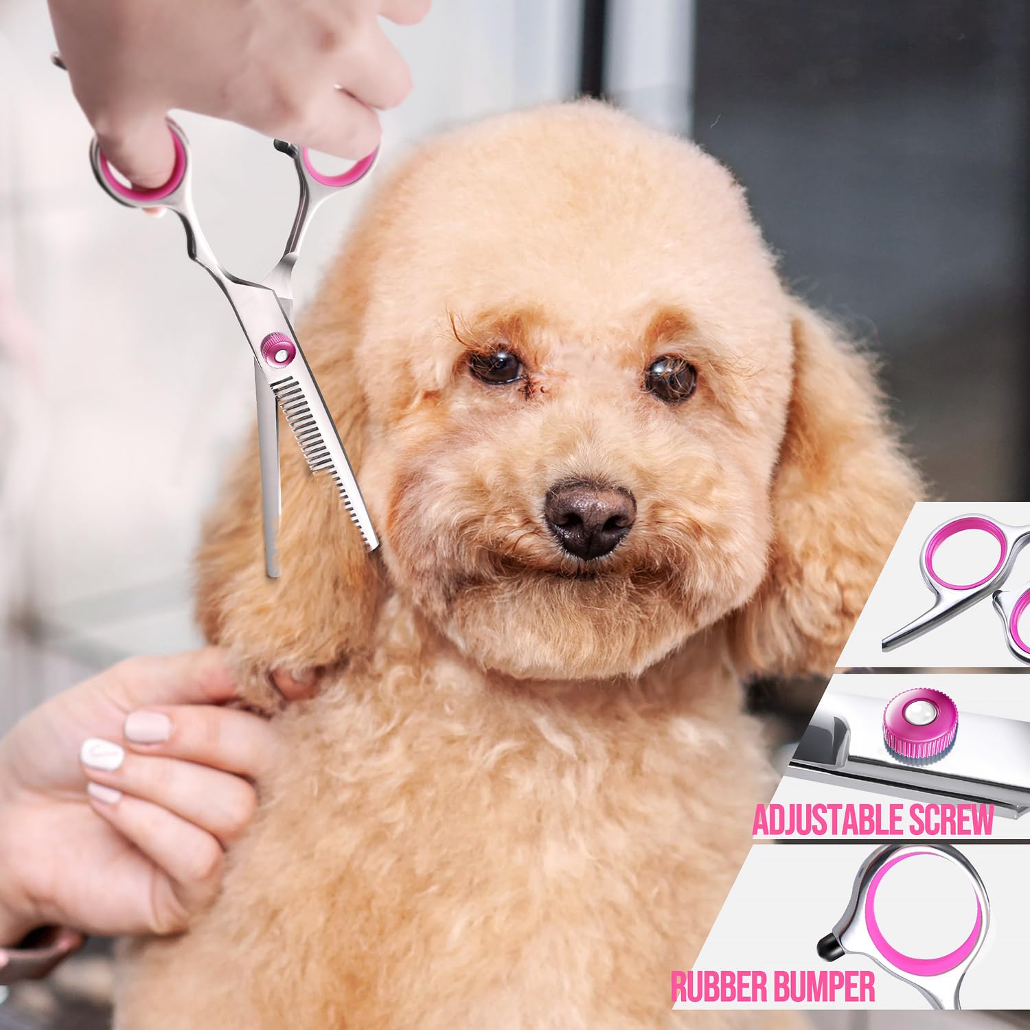 Gimars round-tip design protects pets during trimming sessions