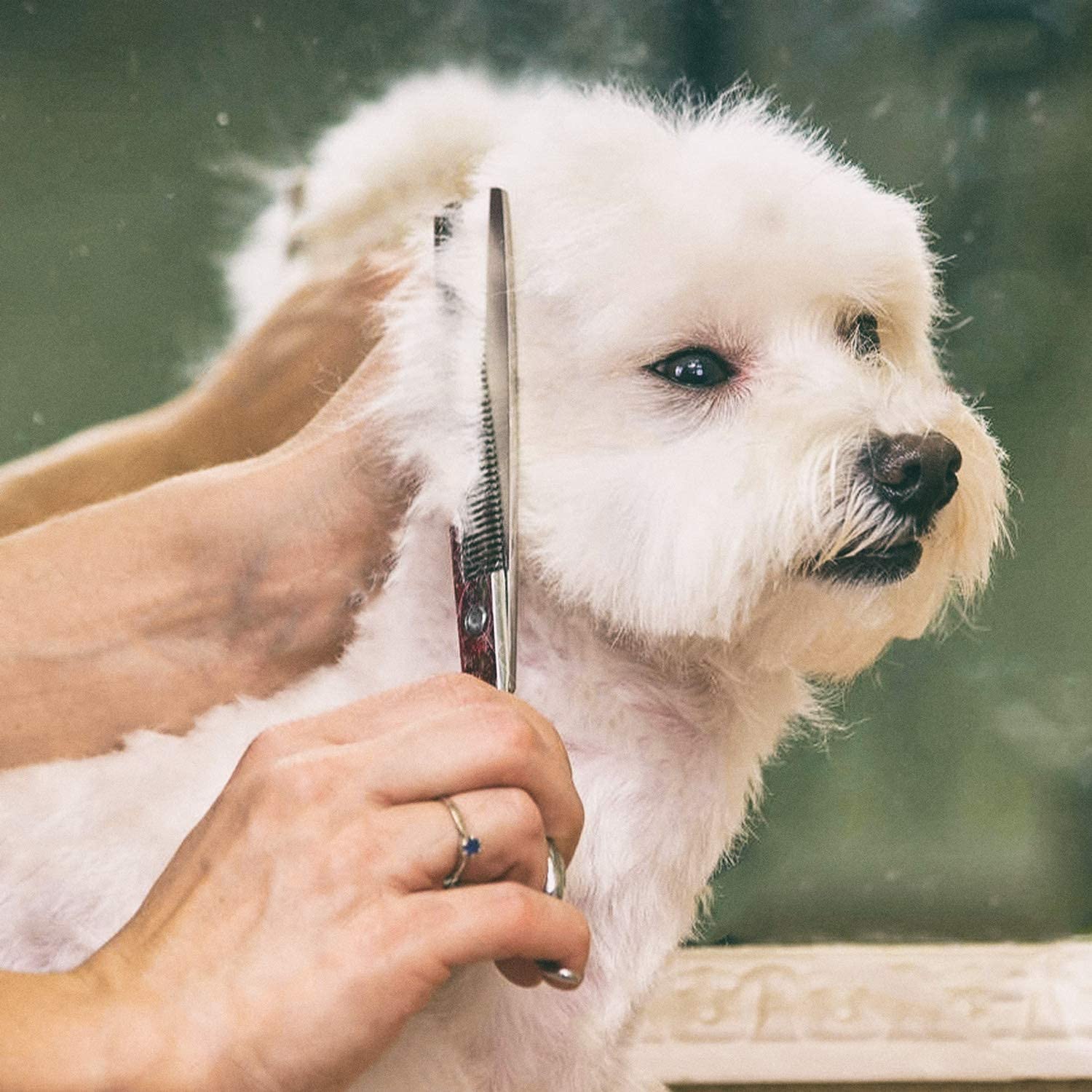Gimars grooming comb and storage case included for organized grooming routines.