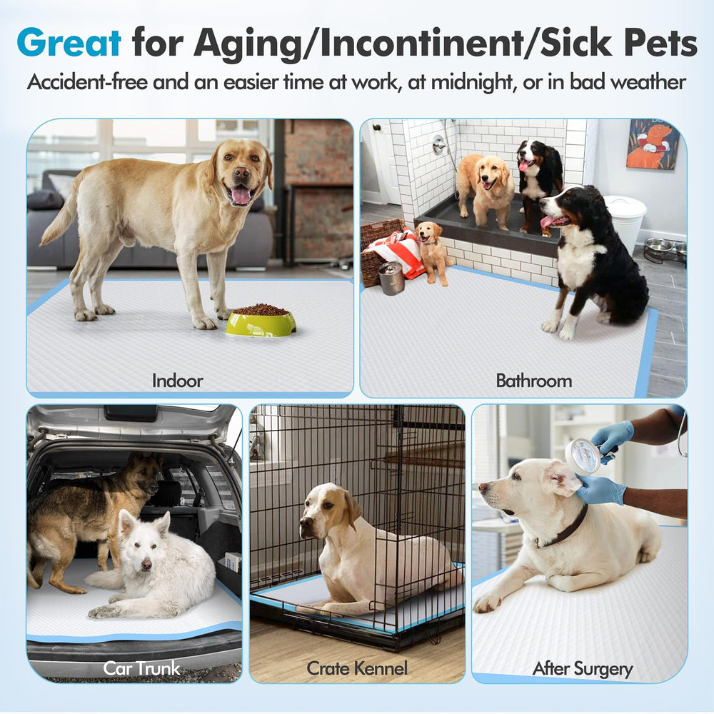 Gimars multi-pet use pad supports dogs, cats, and rabbits during training or recovery.