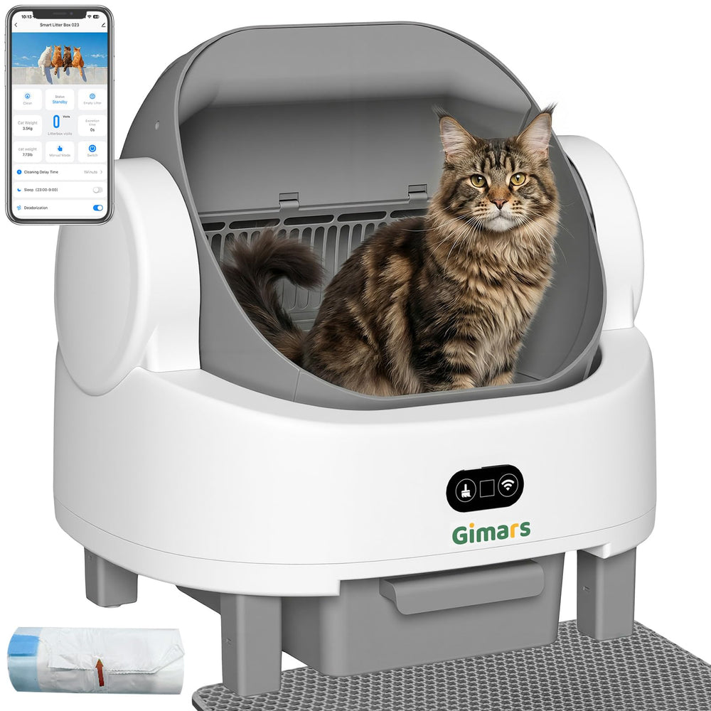 Gimars open-top litter box with 37 cm entry provides easy access for large cats.
