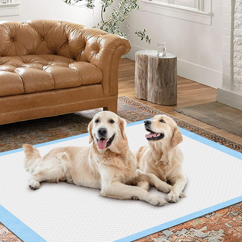 Gimars versatile pet pad doubles as travel mat or temporary bed.