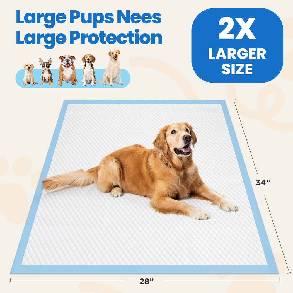Gimars 100-count pack supports long-term training in multi-pet homes