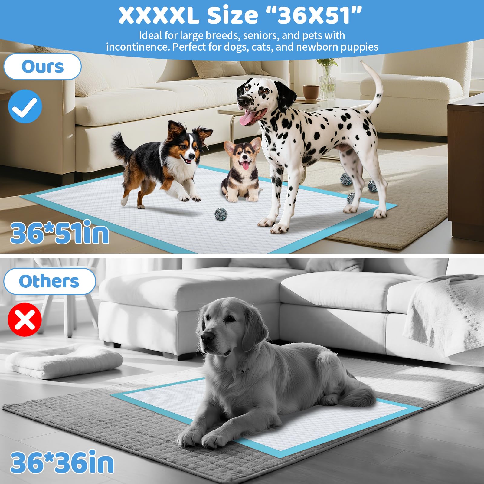 Gimars XL pad with reinforced edges prevents tearing in multi-dog homes