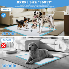 Gimars XL pad with reinforced edges prevents tearing in multi-dog homes