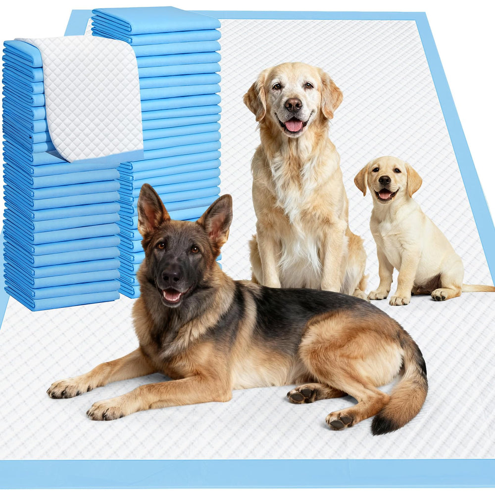 Gimars XXXL 31x47 inch pad provides ample space for large dogs during training.
