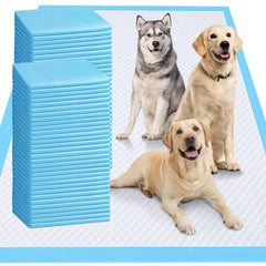 Gimars XXXXL 36x36 inch pad offers extra-large coverage for big dogs.