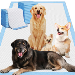Gimars XXXL pads overview showing extra thick, leak-proof design for large pets and multi-pet homes.