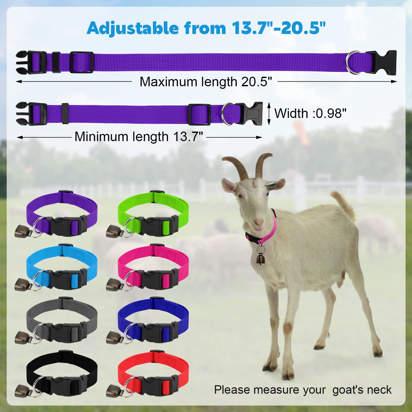GINDOOR adjustable goat collar buckle provides a customizable, secure fit.