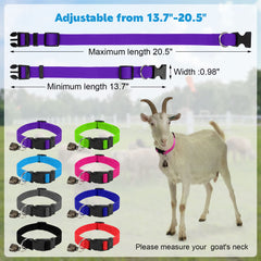 GINDOOR adjustable goat collar buckle provides a customizable, secure fit.