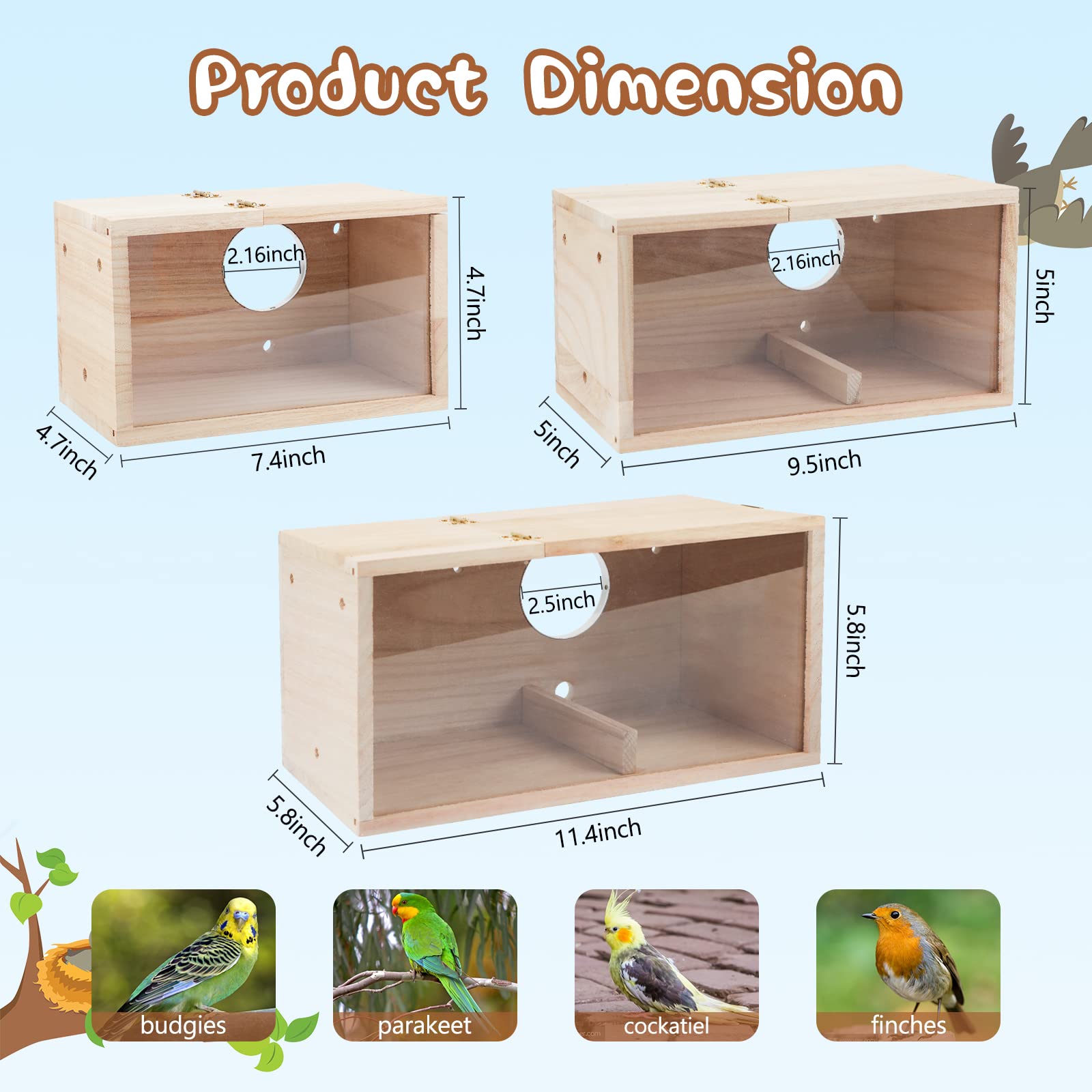 GINDOOR bird house nesting box, inside view, easy monitoring of hatchlings