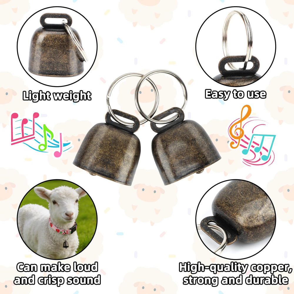 GINDOOR stainless steel D-rings support long-term bell attachments