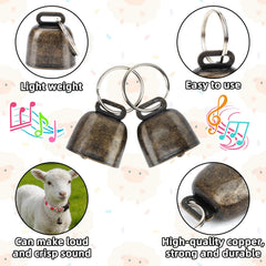 GINDOOR stainless steel D-rings support long-term bell attachments
