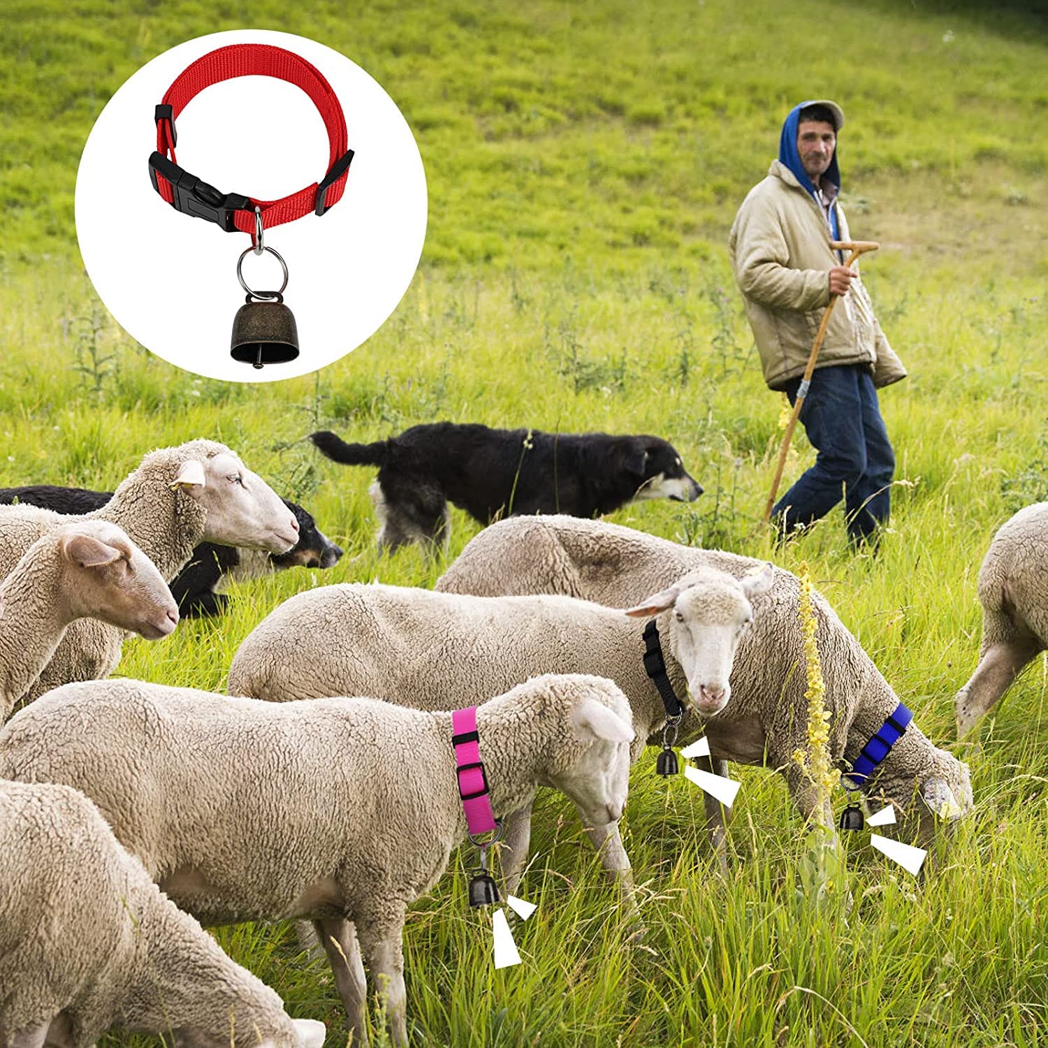 GINDOOR anti-lost design supports faster location of animals while grazing.