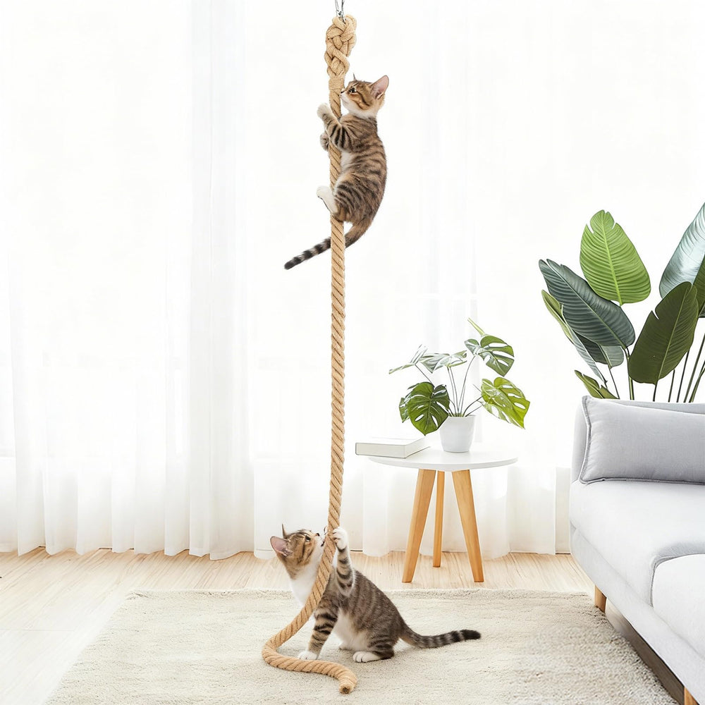 GINDOOR natural sisal rope delivers tactile texture for scratching sessions
