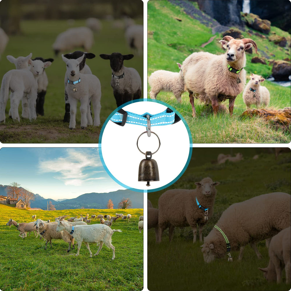Stainless steel D-rings allow easy attachment of bells and accessories.
