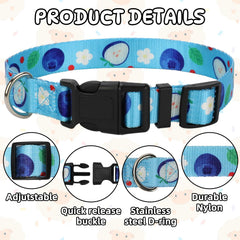 GINDOOR durable nylon collar with safety buckle for easy release