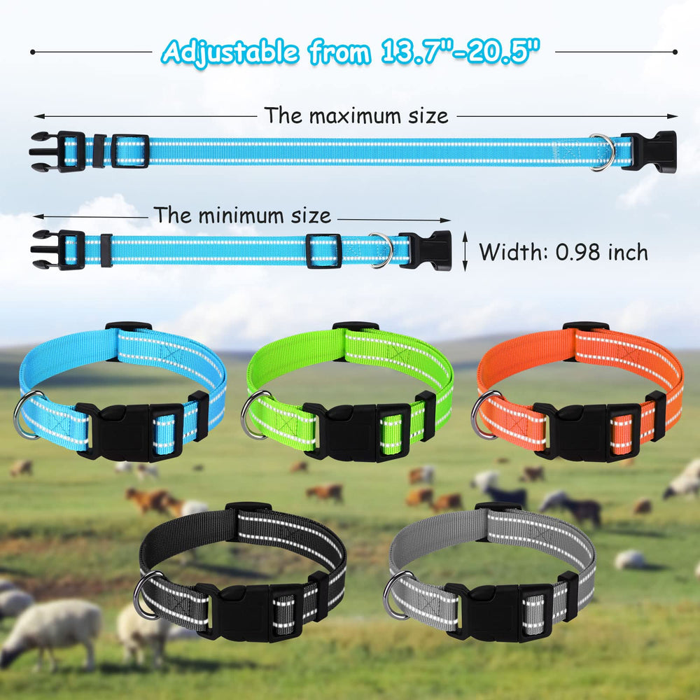 Durable nylon collar with high-density webbing for daily farm use.
