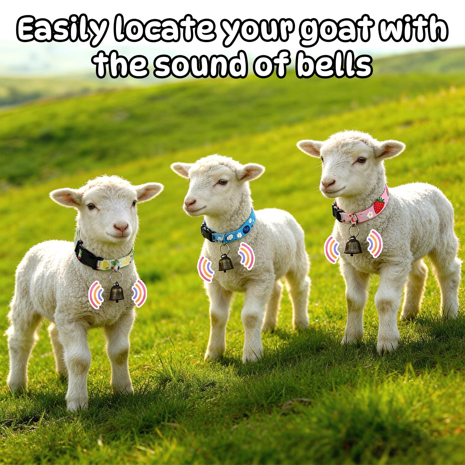 GINDOOR two-color lamb collars for quick animal distinction