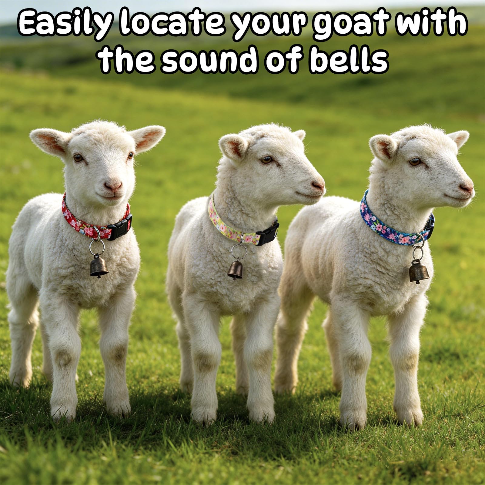 GINDOOR two-color lamb collar set with bell and keychain for easy ID