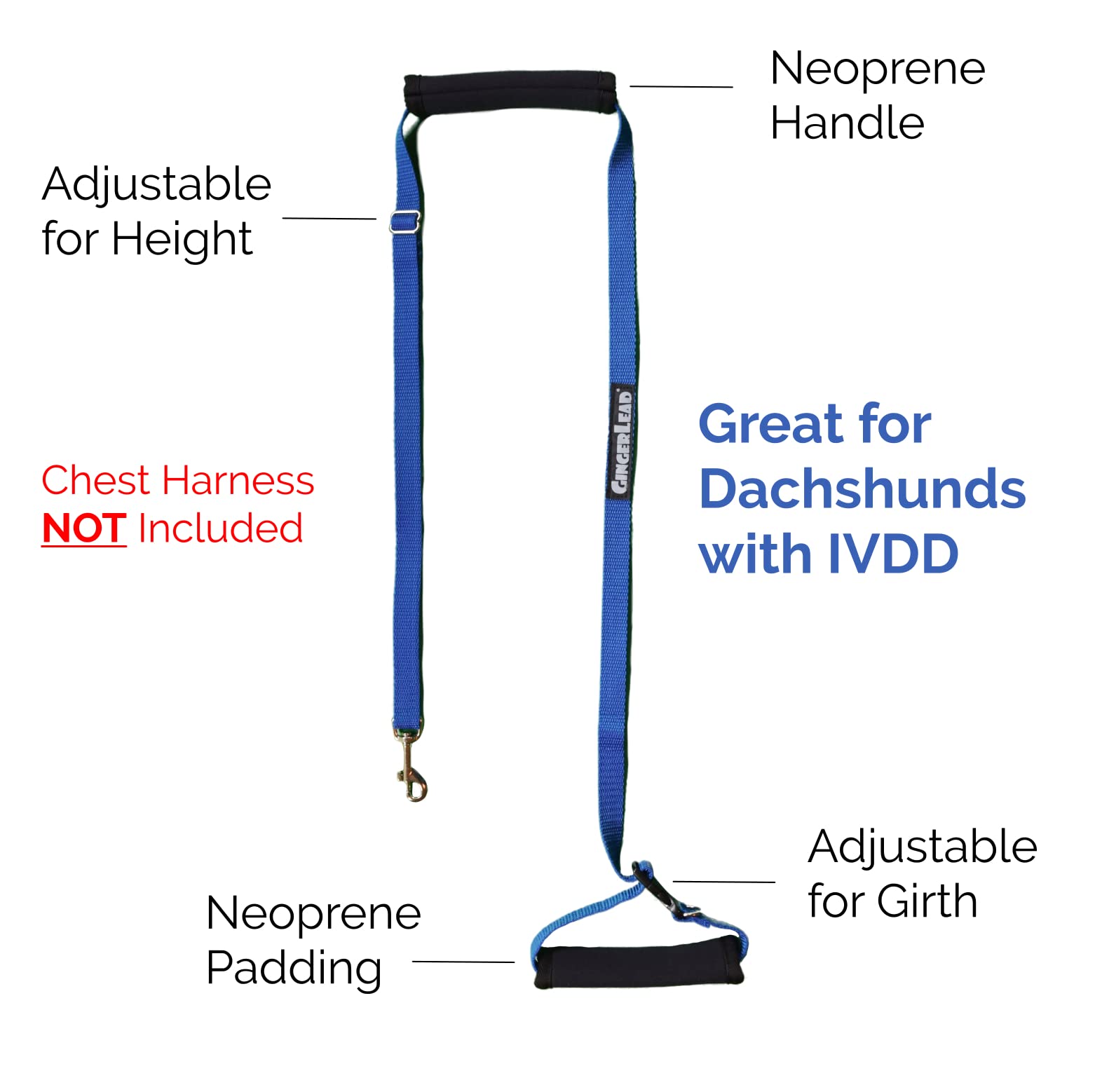 GingerLead adjustable height keeps you in a comfortable posture.