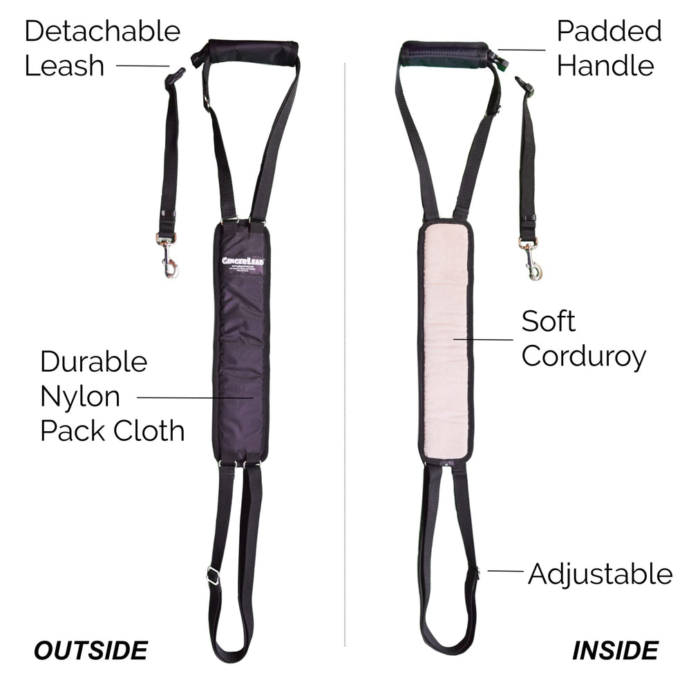 GingerLead adjustable sling length enabling secure upright position.