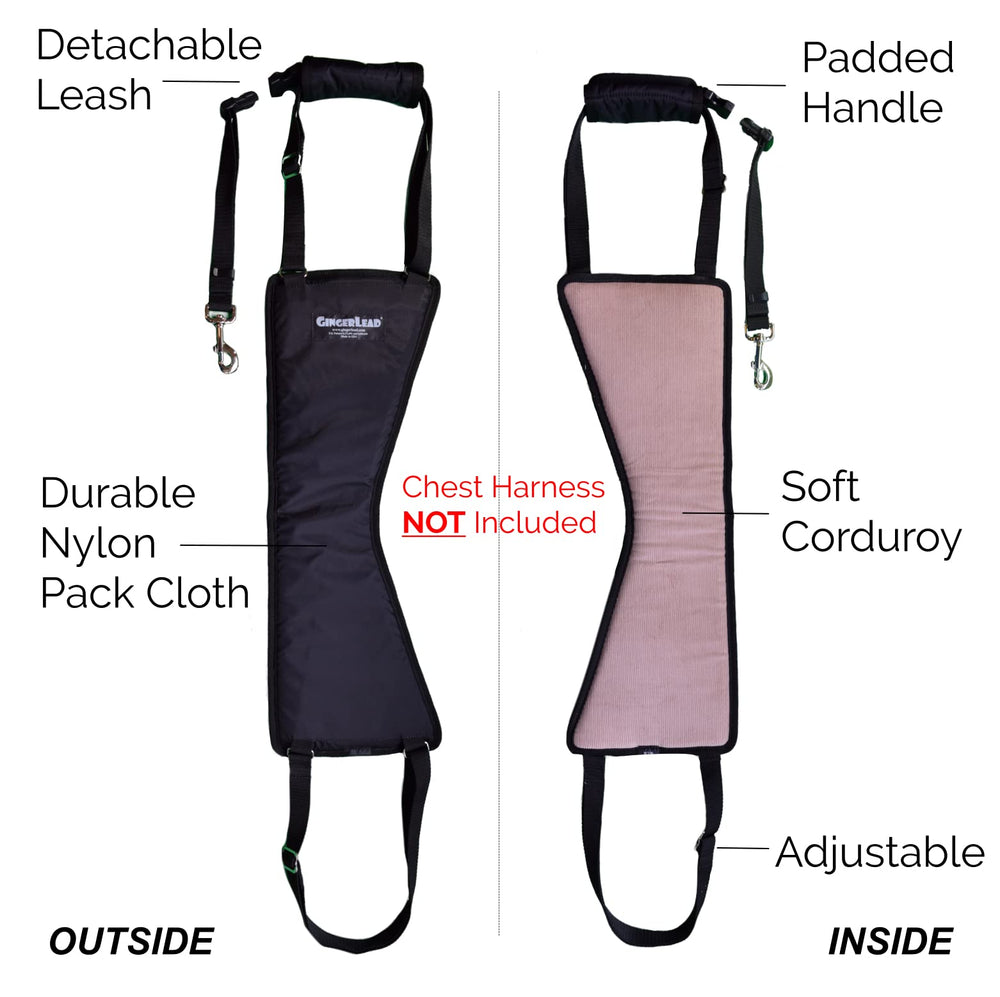 GingerLead cutout-for-male-dogs fits male dogs securely.