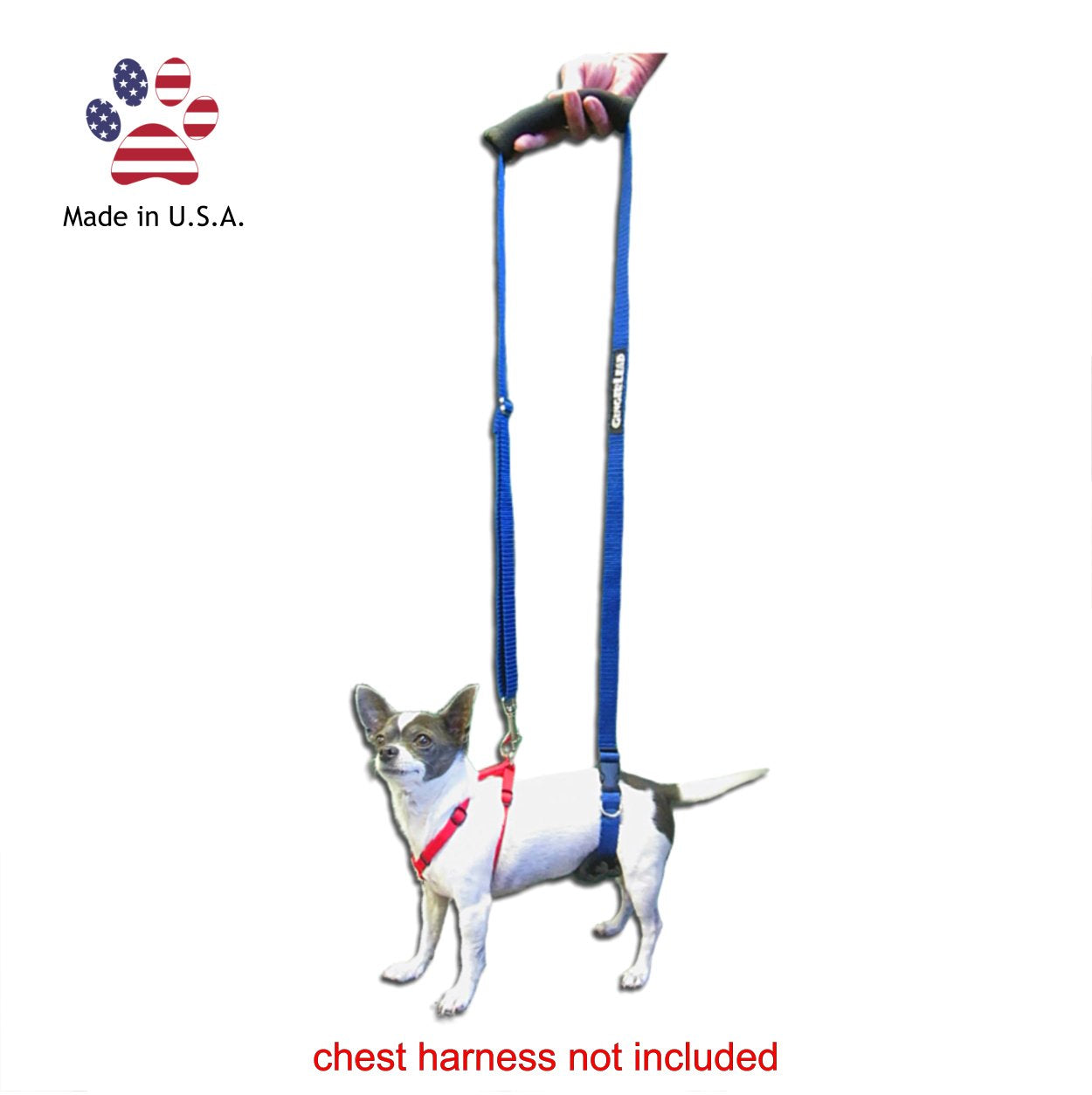 GingerLead dog recovery support facilitates gentle stairs and post-operative movement.